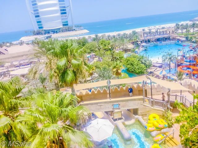 وايلد وادي ووتر بارك