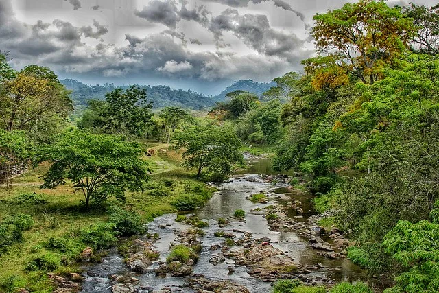 ذا جرين بلانيت