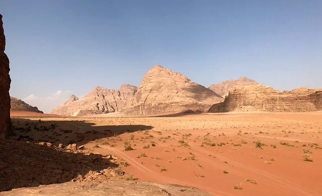 مركز الحياة البرية العربية