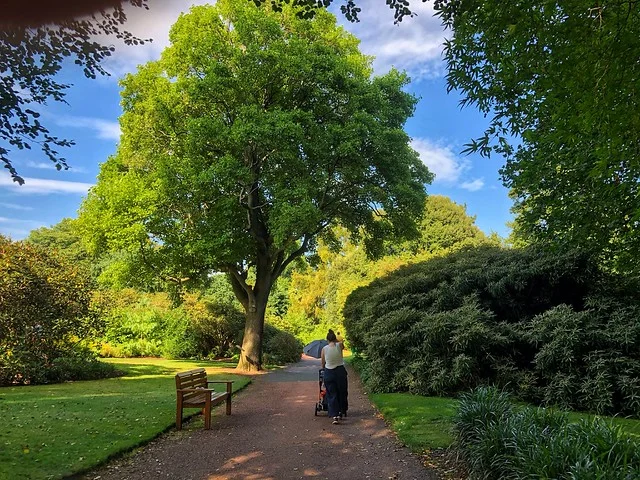 الحديقة النباتية الملكية في إدنبرة