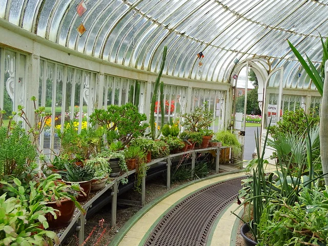 حدائق بلفاست النباتية وبيت النخيل