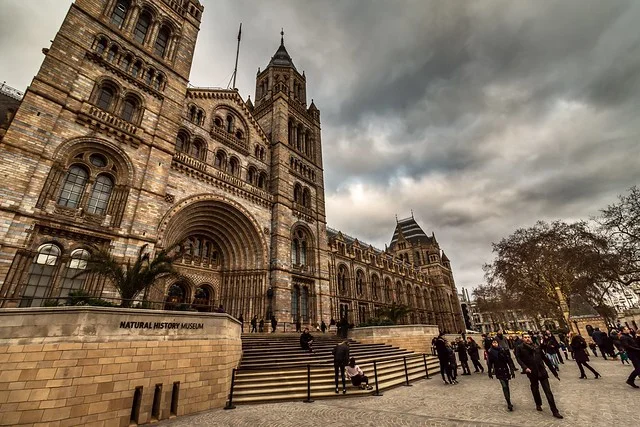 متحف التاريخ الطبيعي في لندن