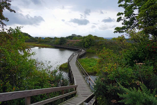 محمية ميركينش المحلية للطبيعة