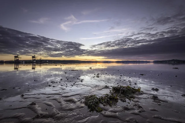 أوشن تيرمينال