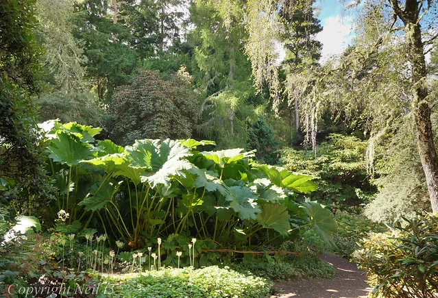 إنفروي (حديقة وعقار إنفروي)