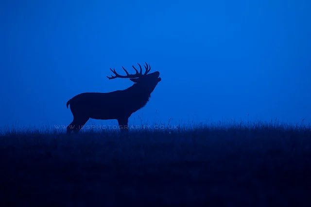 ريتشموند بارك