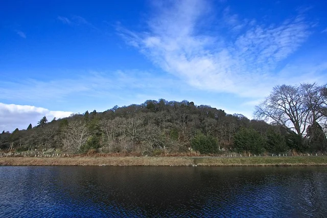 توم ناهوريتش (تلة الفِيَرة)