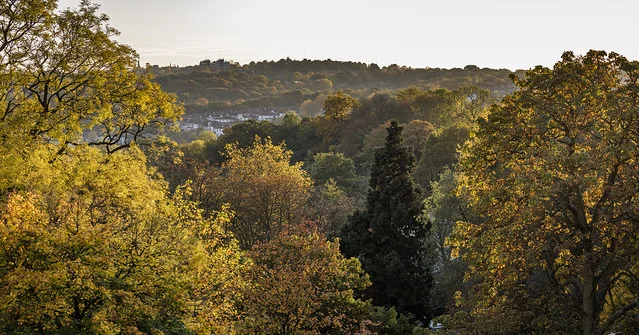 بارك ألكسندرا