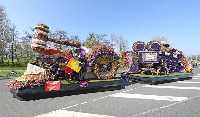 حدائق باريد