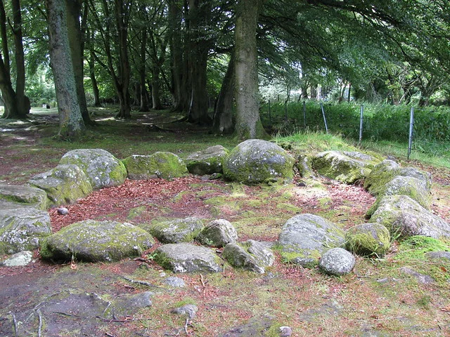 كلايفا كيرنز