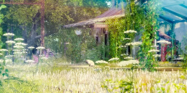 أكتيف ريلتي