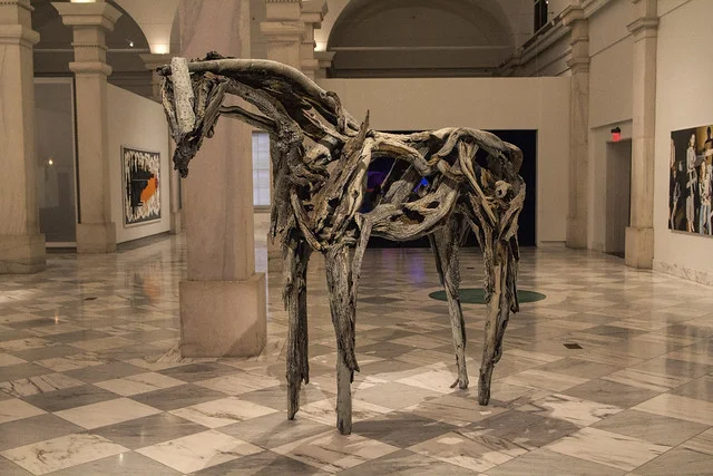 المعرض الوطني للصور