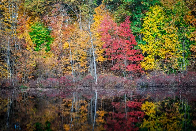 حديقة ديفيلز هول الحكومية