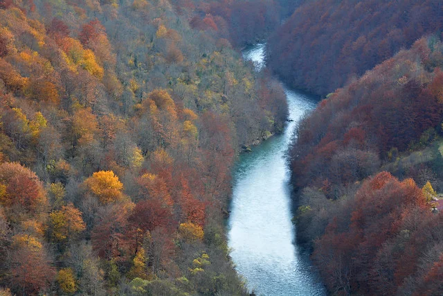 وادي نهر تارا