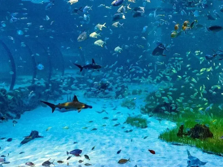 الحوض المائي الوطني أبوظبي