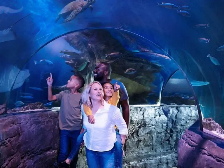 سي لايف مانشستر