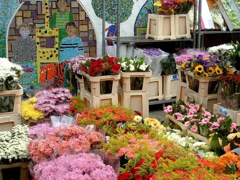 سوق كولومبيا رو للزهور