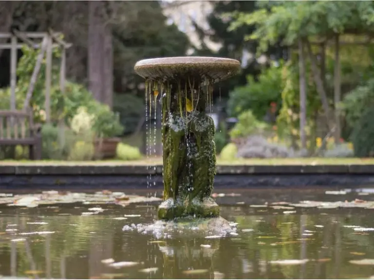 حديقة هنريتا