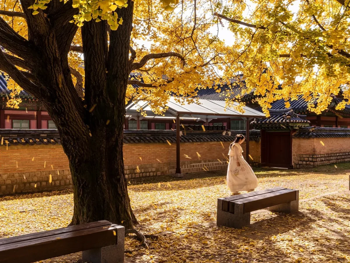 Aerial view of Gyeongbokgung Palace in Seoul with traditional hanbok-clad visitors and autumn foliage