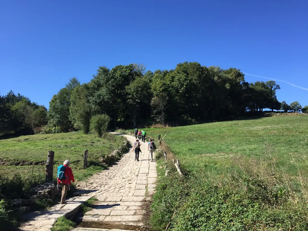 A modern pilgrim walks the Camino Francés in northern Spain — a centuries-old Christian religious pilgrimage route offering physical challenge, spiritual renewal, and cross-cultural connection. Pilgrim walking a forest trail on the Camino Francés wearing a scallop shell and backpack, sunlight filtering through trees