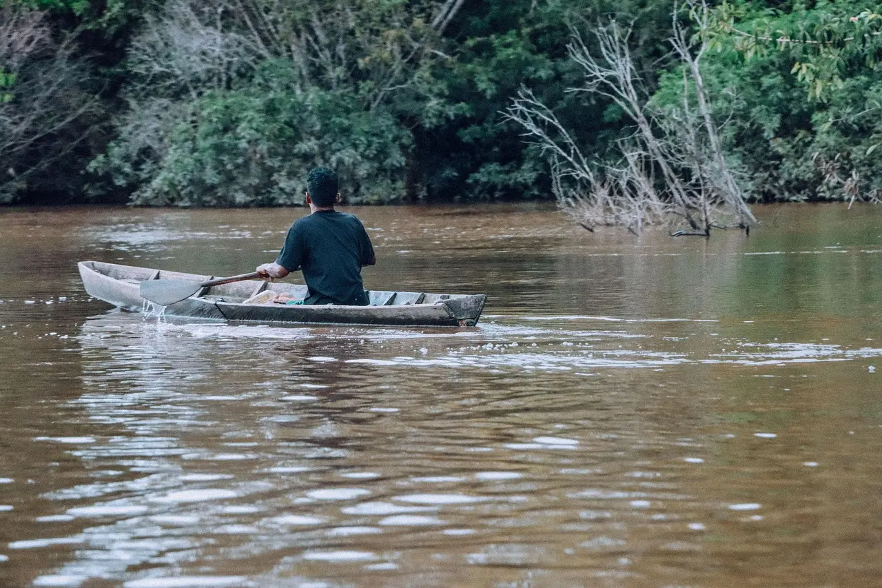 قارب صغير يعبر نهرًا في غابة بورنيو مع ضباب صباحي